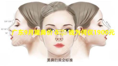 广东9月隆鼻价 🦁 钱为何仅1900元
